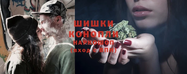 крисы Наволоки