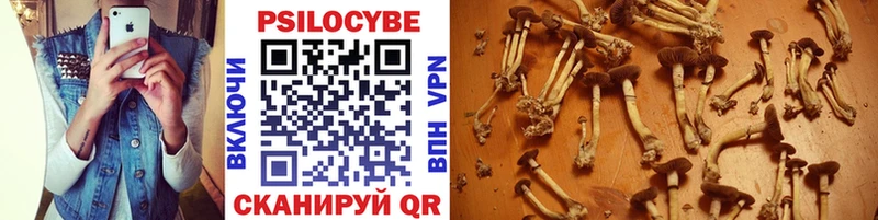 Псилоцибиновые грибы прущие грибы  Армавир 