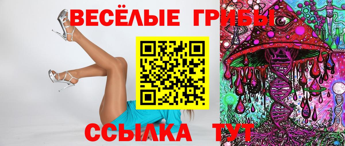 Армавир  Галлюциногенные грибы Magic Shrooms  Псилоцибиновые грибы Psilocybe  Вход с VPN 