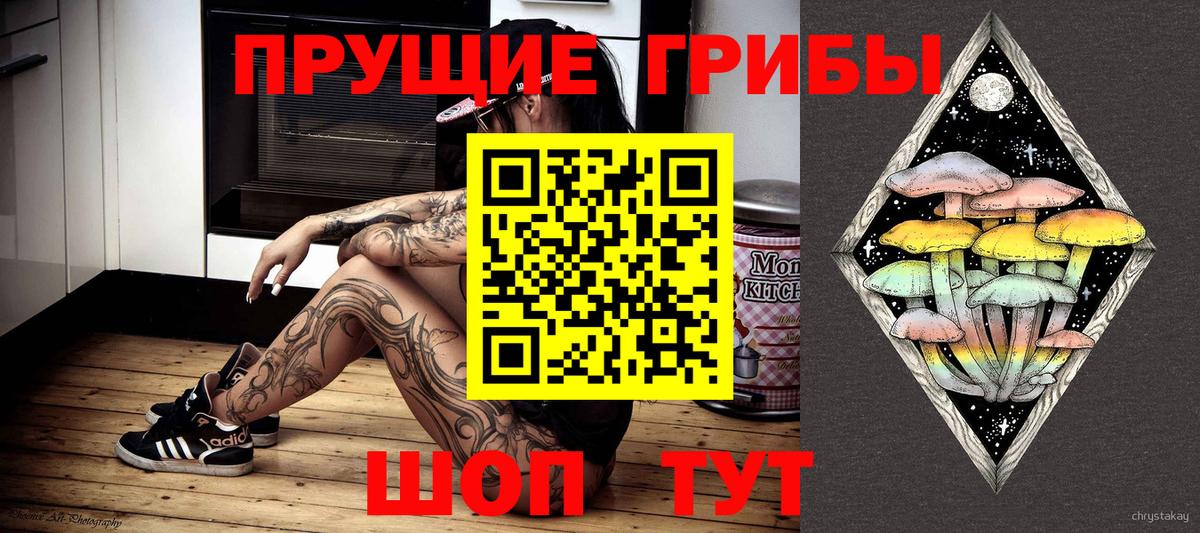 Псилоцибиновые грибы Cubensis  Псилоцибиновые грибы мицелий  Армавир 