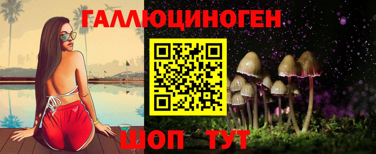Псилоцибиновые грибы мухоморы Армавир