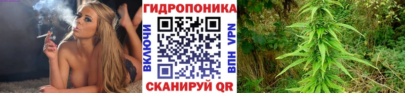 хочу наркоту  Армавир  mega рабочий сайт  Каннабис White Widow 